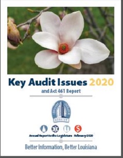 2020 LLA Annual Report